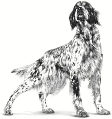 Royal Canin Hypoallergenic Dog Food, 2 kg Rosh Posh LTD