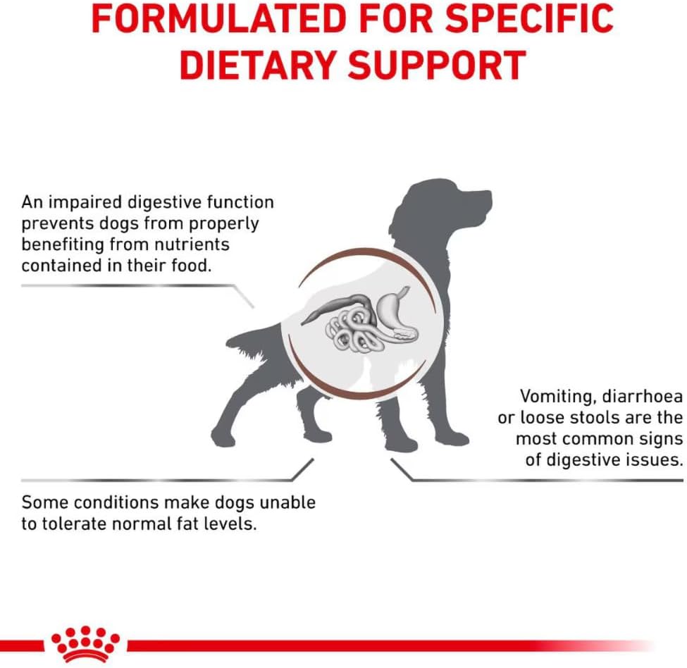 Royal Canin Veterinary Gastrointestinal Low Fat Dog Food 12 x 420g Cans  | Rosh Posh Ltd