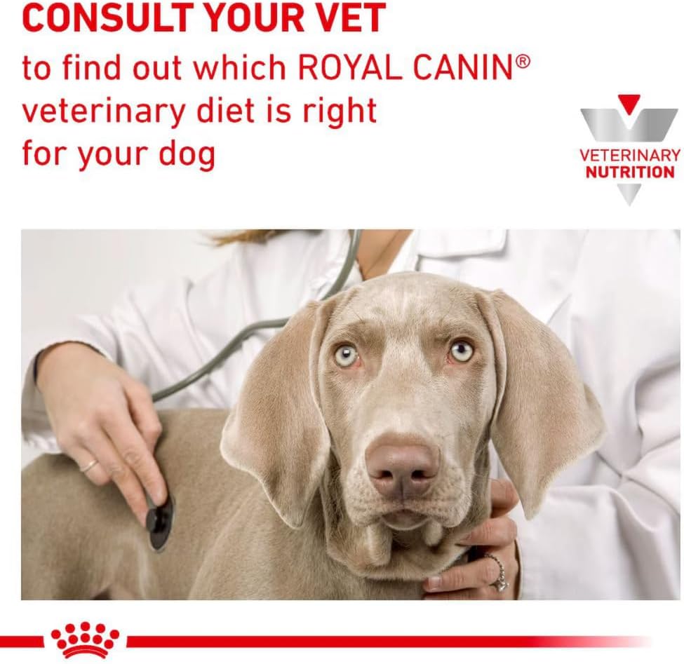 Royal Canin Veterinary Gastrointestinal Low Fat Dog Food 12 x 420g Cans  | Rosh Posh Ltd
