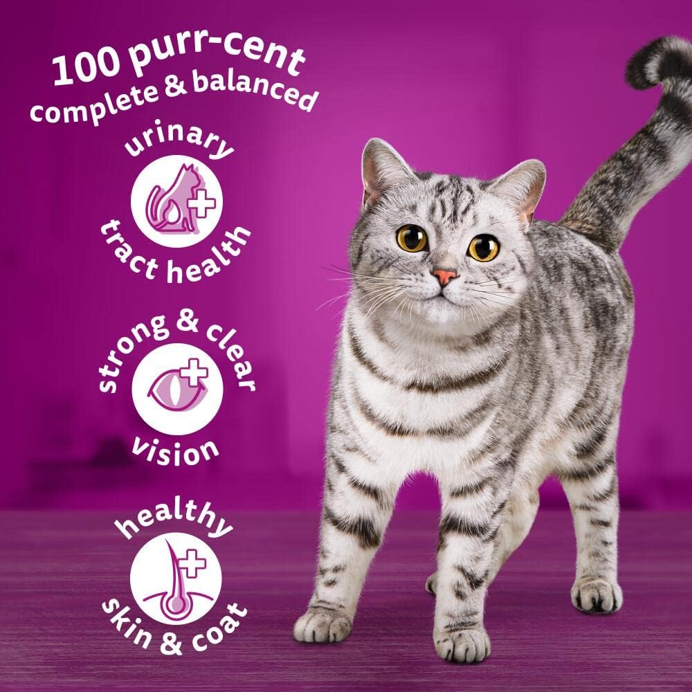 WHISKAS Adult Dry Cat Food 7kg with Chickenrosh posh LTD