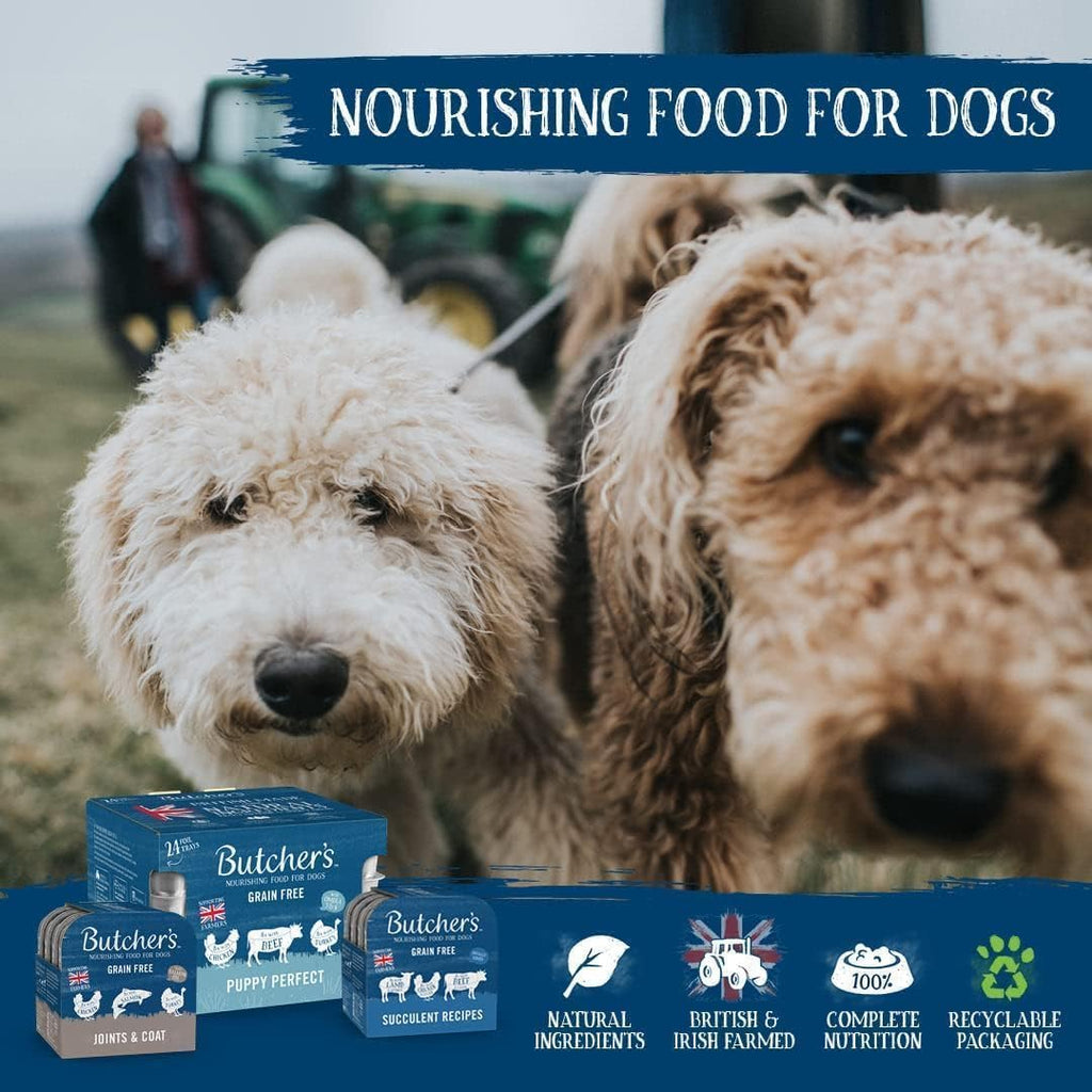 Butcher's Complete Wet Can Adult Dog Food Recipes in Jelly Pack 24x400g rosh posh ltd