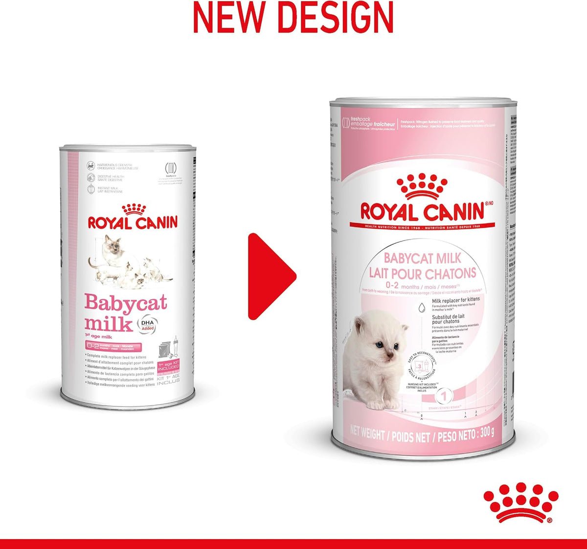 ROYAL CANIN Babycat Powdered Milk 300g Rosh Posh LTD