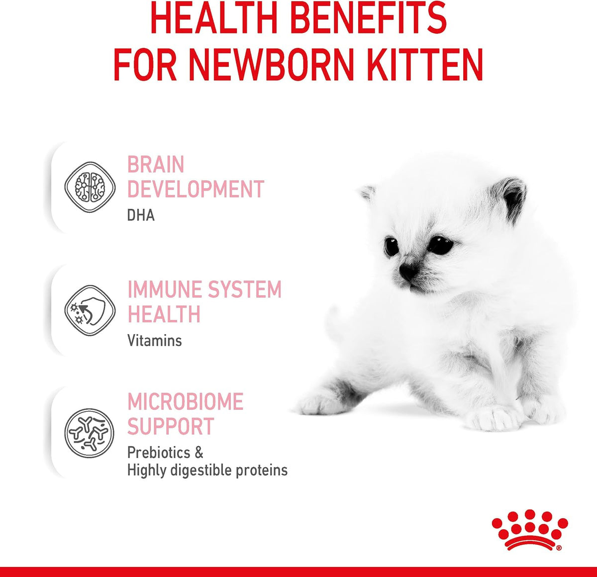 ROYAL CANIN Babycat Powdered Milk 300g Rosh Posh LTD
