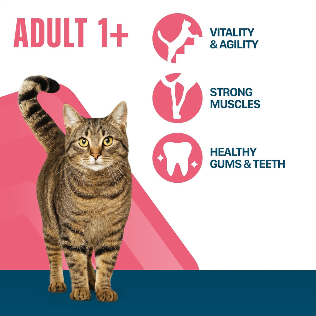 Adult 1+ Dry Cat Food Chicken 7 kgRosh Posh LTD