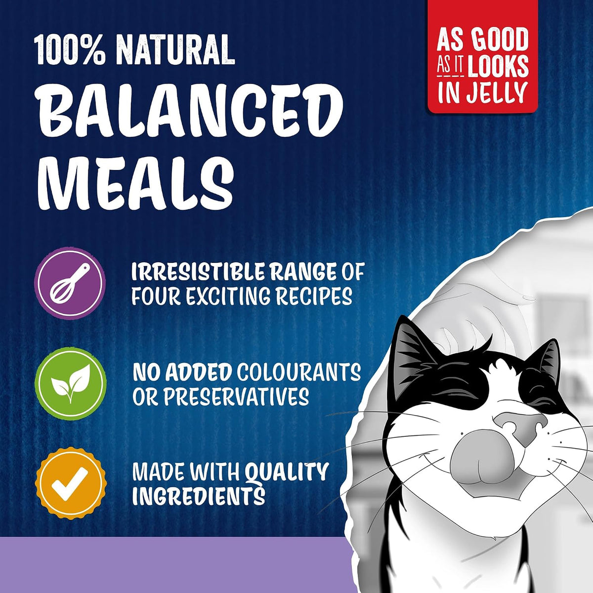 FELIX As Good As it Looks Favourites Selection in Jelly Wet Cat Food Rosh Posh LTD