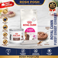 Royal Canin Fussy Adult Dry Cat Food 2kg Rosh Posh LTD