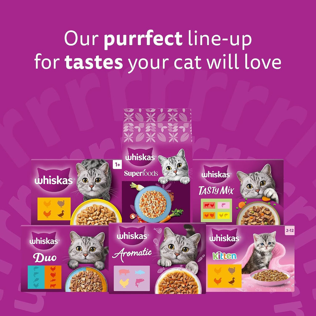 WHISKAS Adult Wet Cat Food in Jelly 40x85g Fish Favourite1 Rosh Posh Ltd